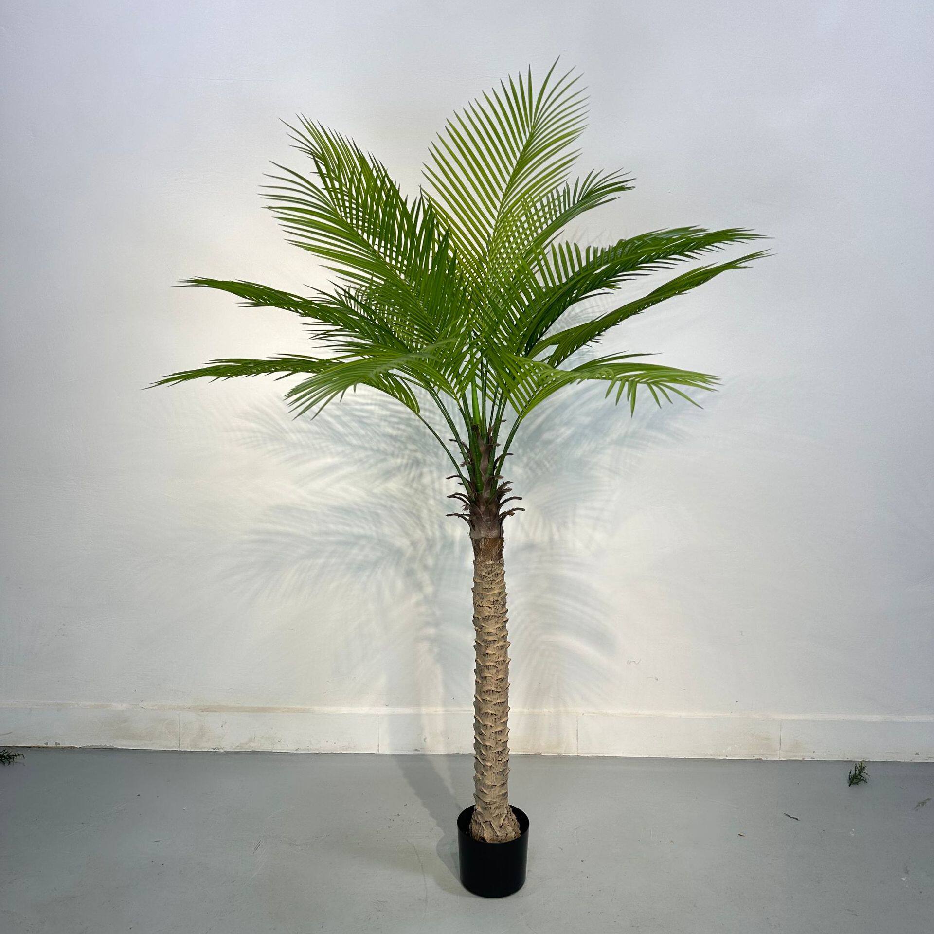 仿真针葵树小椰子树盆栽室内外大型绿植假树摆件棕榈树盆景装饰