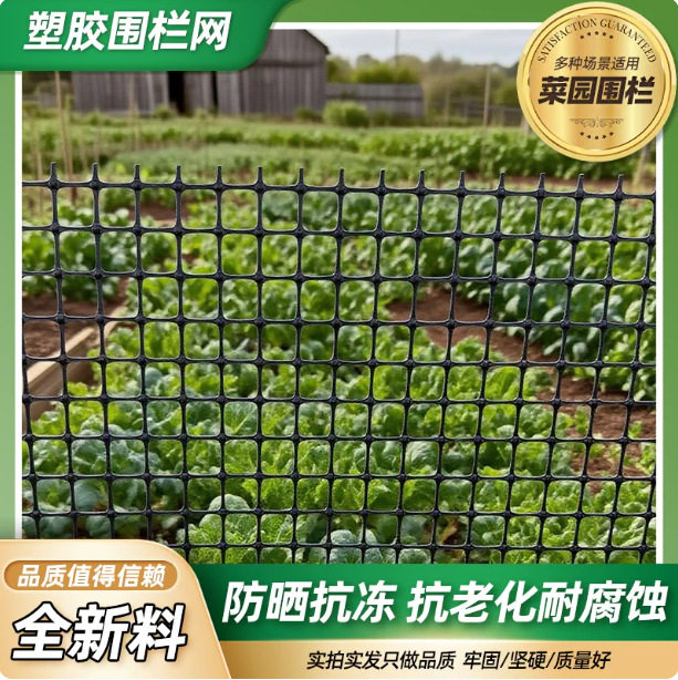 加厚塑料网格围栏网鸡鸭养殖鱼塘防护网家用户外果园玉米大棚网