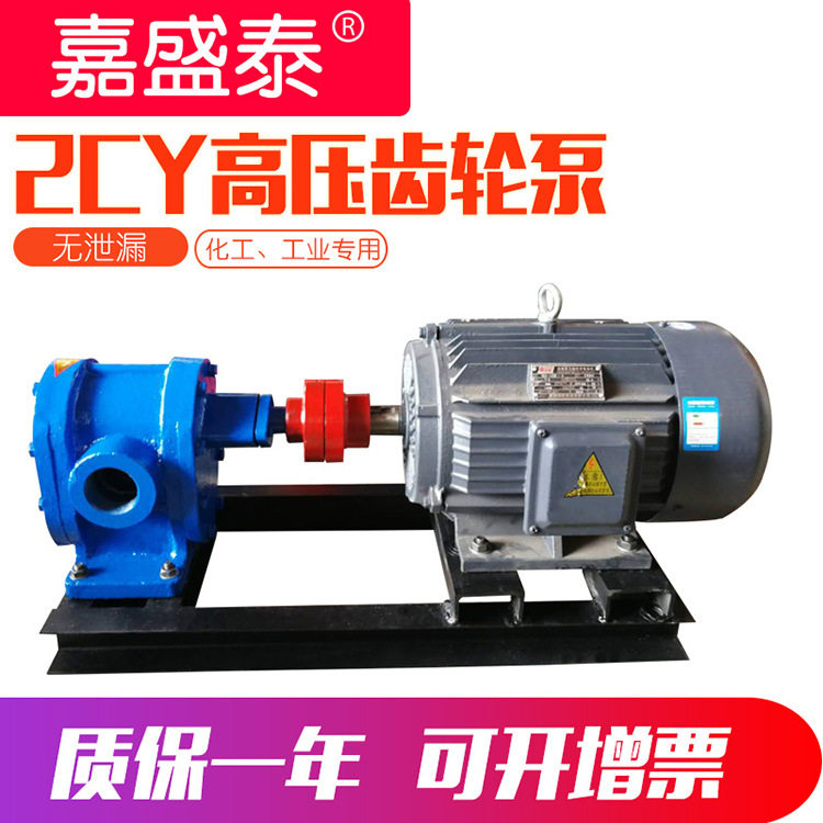 齿轮泵2CY-1.08型高压管道皂液泵批发卧式小型2cy齿轮油泵泵头
