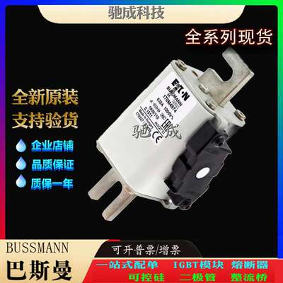 巴斯曼170M4974 170M4980 170M4981 现货直销 价优 快速保险丝