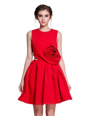 奈昕让您穿着漂亮个性化私人订制 91170 dress淑女装无袖纯色花朵