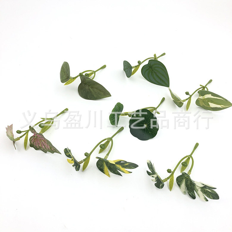 9cm两叉仿真荷叶龟背叶盆栽