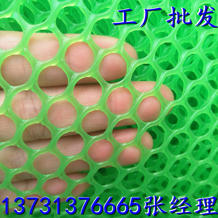 养鸡绿色塑料网 白色塑料网 苗床塑料网 厂家现货供应 价格公道