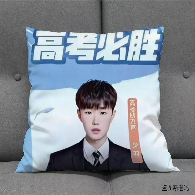 少羽抱枕必胜高考助力官恶搞生日沙发靠垫抽象书包抽象学生礼物