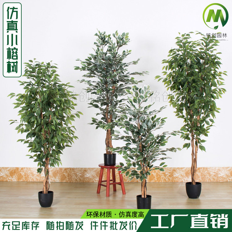 仿真绿植假榕树盆栽批发人造迷你榕树装饰用仿真榕树仿真植物景观