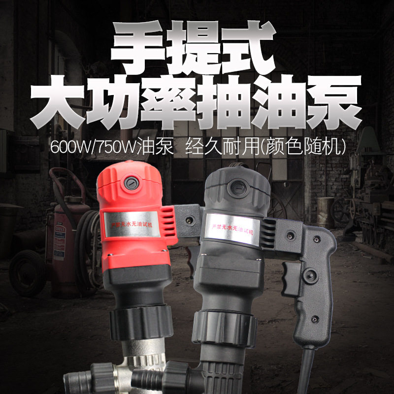 大功率油桶泵抽油泵抽液泵220v电动液压油柴油机油不锈钢管食用油