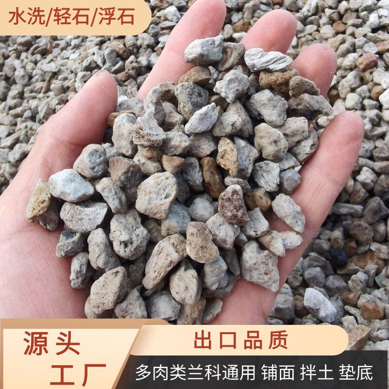 水洗浮石轻石颗粒兰花专用铺面拌土垫底多肉介质土钵底石水族过滤