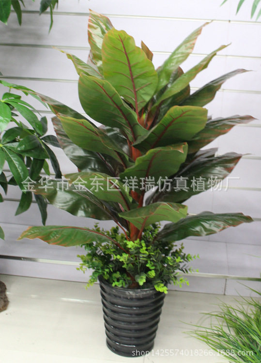 仿真树叶室内盆栽落地绿萝批发