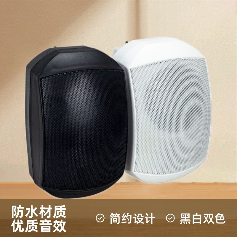 天籁5寸壁挂定阻防水音柱