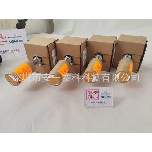 E+H恩德斯豪斯FTL51音叉开关FTL51-AGR2BB4G5A