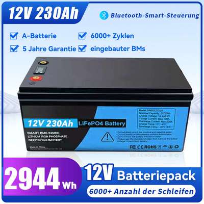 Lithium-Ionen-Batterien Lifepo4 12V 230Ah280Ah300Ah 24V100ah