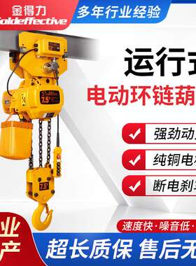 环链电动葫芦 10t 挂钩 固定式电葫芦 KOIO HHBB10-04D