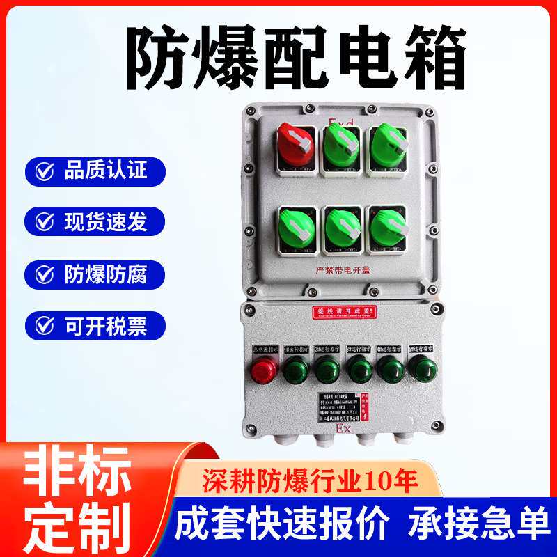 工业不锈钢防爆动力照明配电箱仪表检修控制插销接线箱开关电源箱