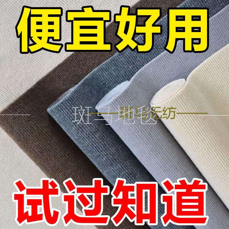 新款加厚地毯家用耐磨办公室客厅网红直播间隔音专用大面积可剪裁
