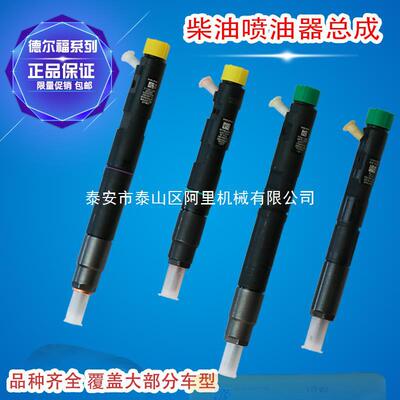 适用德尔福柴油喷油器总成玉柴江铃长城炮四达中兴黄海瑞迈皮卡