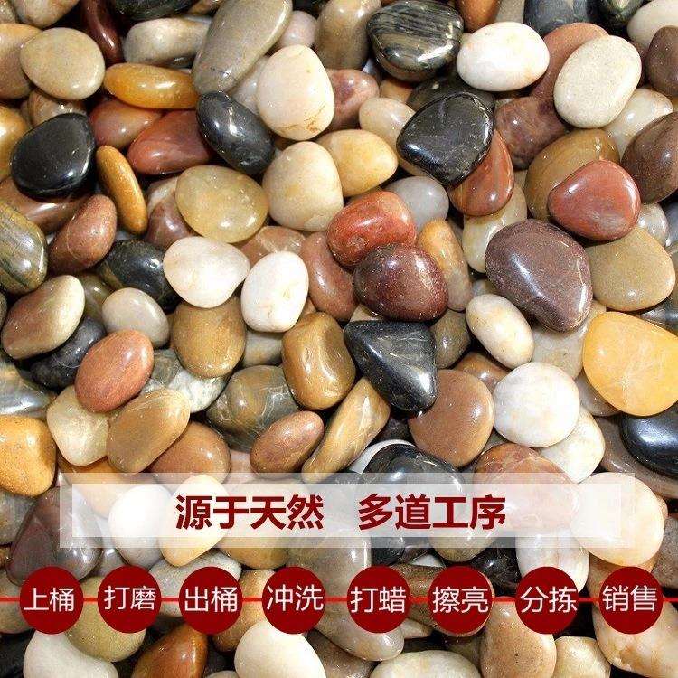 精抛光天然鹅卵石石头雨花石五彩石小石子花卉鱼缸园林铺路石