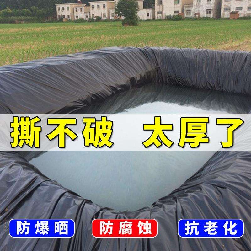 加厚鱼塘防渗膜鱼池专用防水帆布水产养殖塑料膜蓄水池篷布膜油布