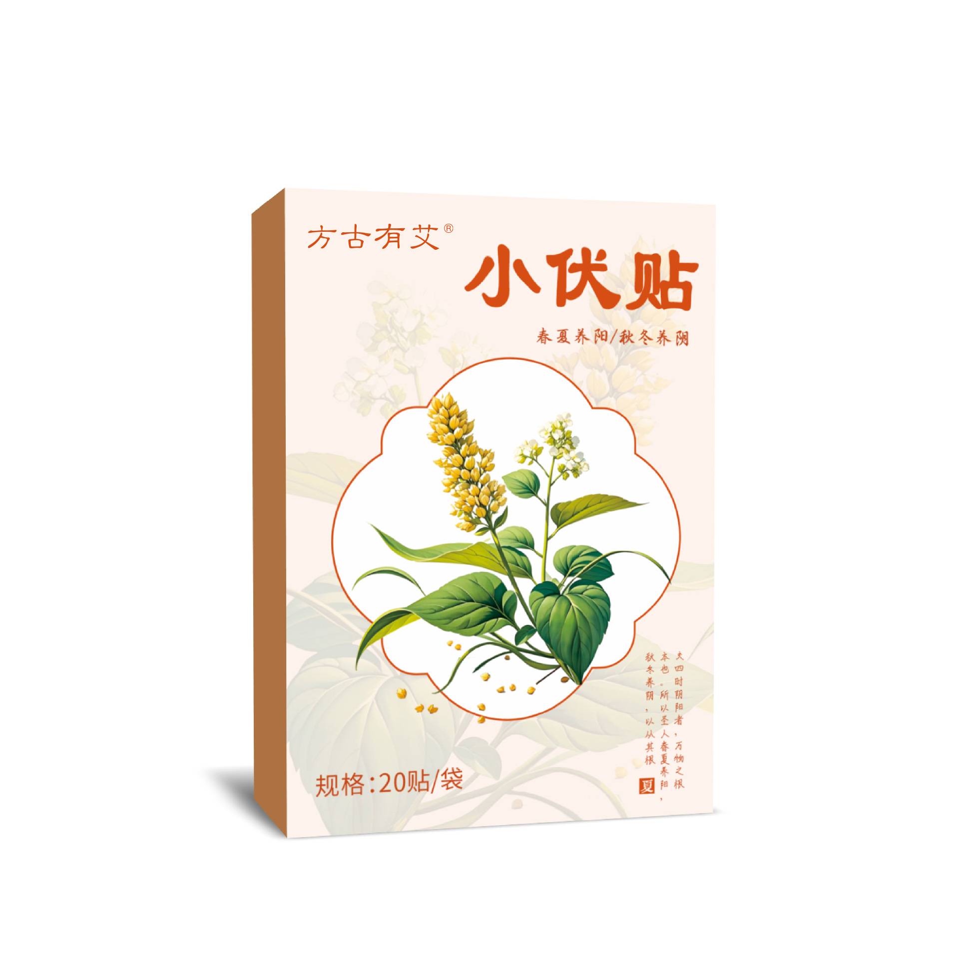 方古有艾小伏贴三伏贴伏立贴艾草