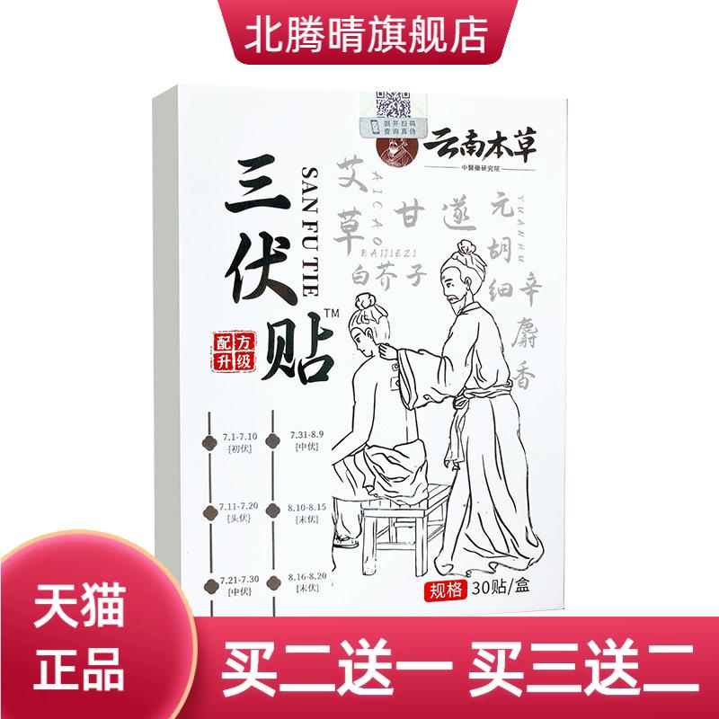 三伏贴云南本草三伏天艾灸贴