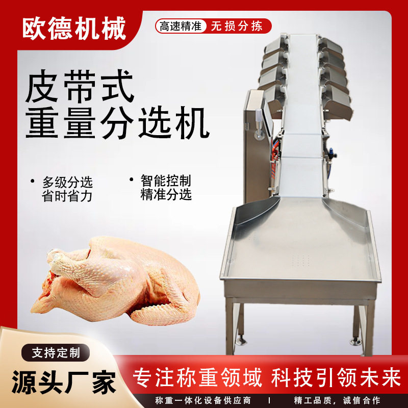 大鲅鱼皮带分级秤 使用方便 多宝鱼分选机 黄花鱼全自动分级机