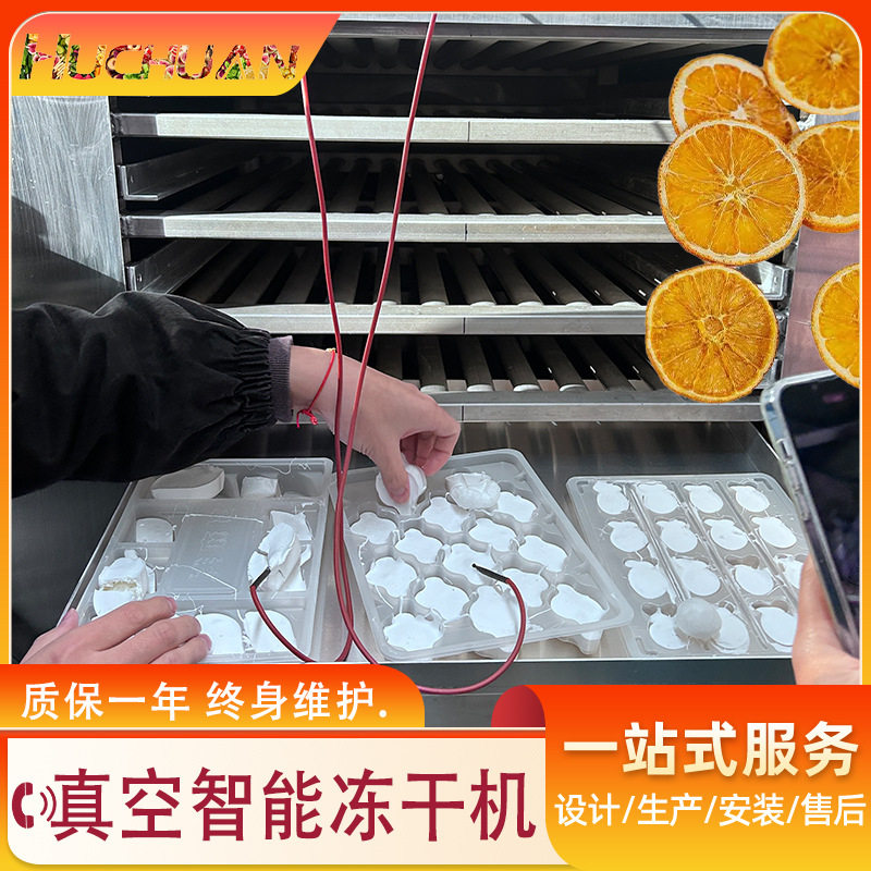 小平方薄荷块冻干机 冻干冰淇淋烘焙粉设备 青梗菜真空冷冻干燥机