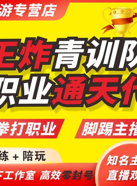 首单小国特价-王者荣耀代打代练排位大小国标巅峰赛金标排位战力