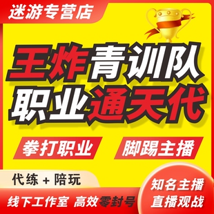 首单小国特价-王者荣耀代打代练排位大小国标巅峰赛金标排位战力
