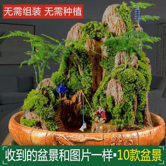 流水版假山石吸水盆景摆件上水奇石头鱼缸原植物天然室内山水造景
