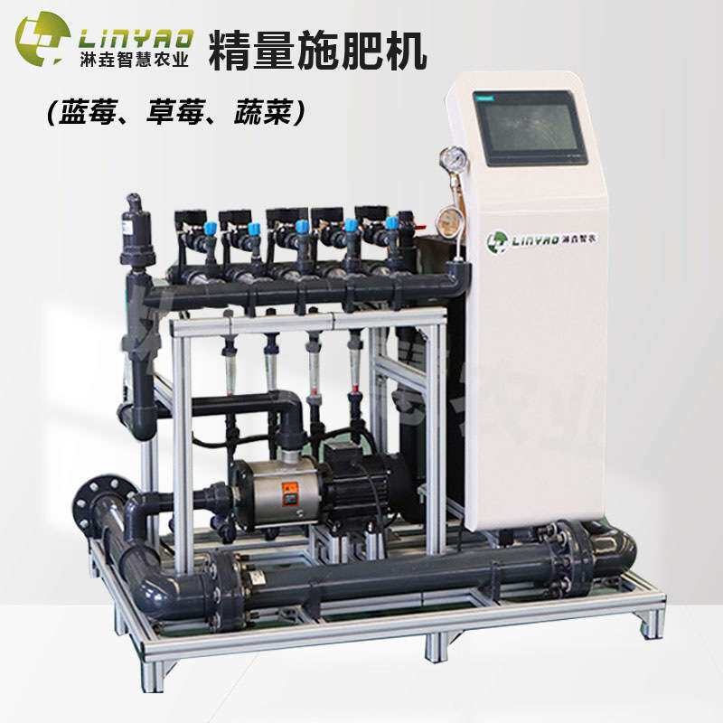 蓝莓精量水肥一体机 全智能蔬菜高标准滴灌全自动水肥一体化设备