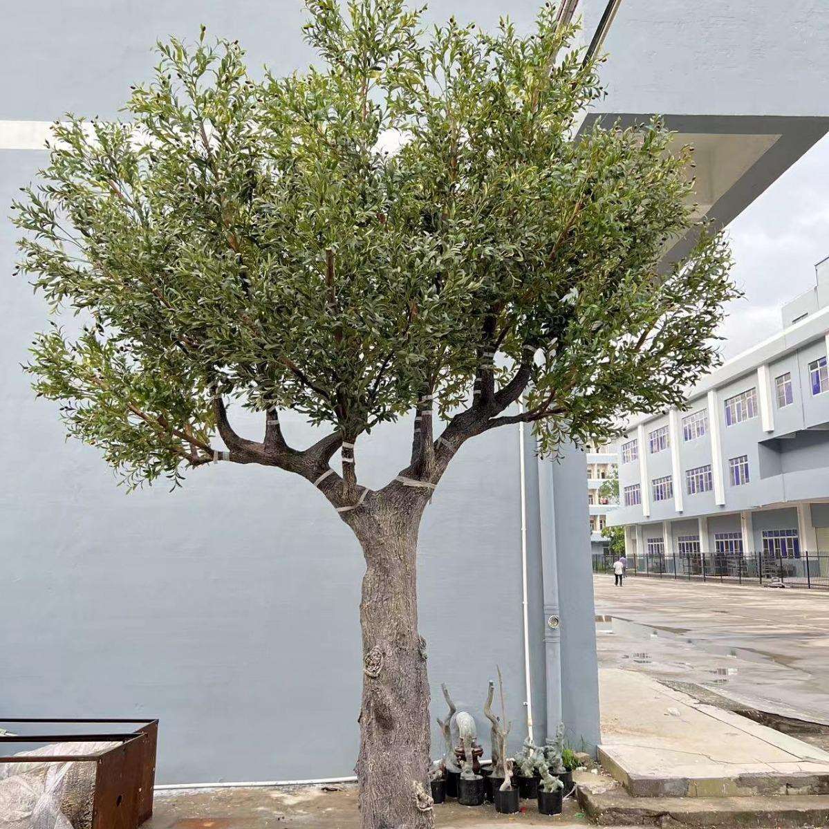 仿真大型橄榄树商场酒店橱窗装饰树玻璃钢人造带果仿真橄榄树假树
