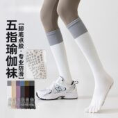 袜子女五指袜瑜伽普拉提专用小腿袜专业运动防滑健身骨新疆棉袜