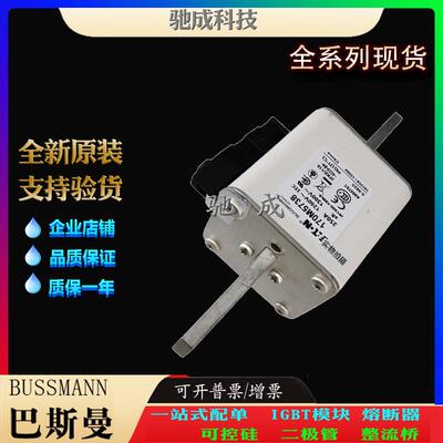 巴斯曼170M5734 170M5735 170M5738 现货直销零售 快速保险丝