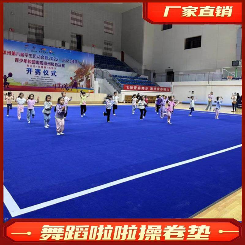 啦啦操卷垫艺术体操垫健美操武术散打格斗搏击体适能训练舞蹈地垫