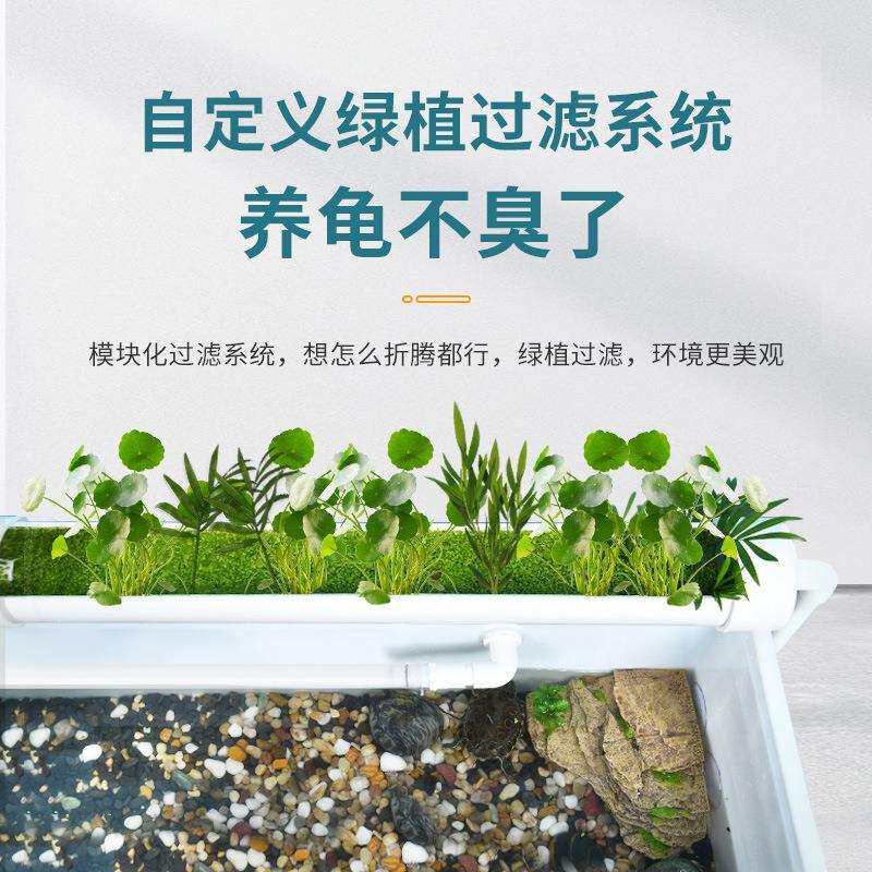 yee龟箱周转箱非免换水兰寿金鱼内循环净水鱼龟池养龟箱繁殖产蛋
