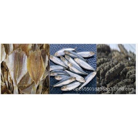广东大虾海鲜微波熟化机 沃斯特隧道式微波海产品烘焙设备