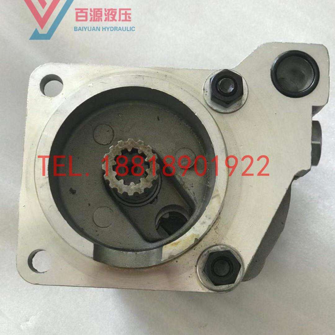 A8VO107液压泵 卡特E320B 325先导泵A8VO55 80 140 160 200齿轮泵