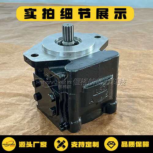 凯斯帕CASAPPA齿轮泵KP30.51D0-A8K9 KP35 KP40铸铁高压液压泵