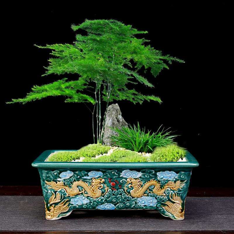 宜兴紫砂花盆上釉手工刻绘四方长方形桌面蝴蝶兰绿植盆景盆栽