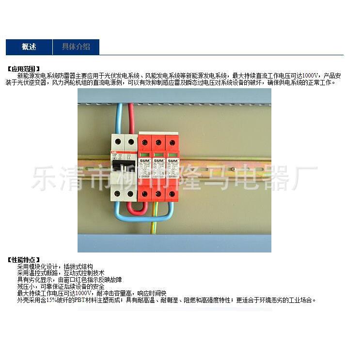 隆马电器 新能源防雷器1000v DC浪涌保护器 计数 1000v直流防雷器