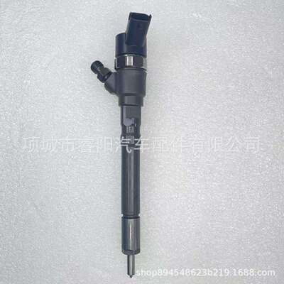 共轨喷油器0445110064 33800-27000 33800-27010 适用起亚发动机