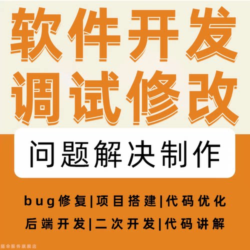 软件开发调试修改问题解决制作后端代码远程bug程序讲解java指导