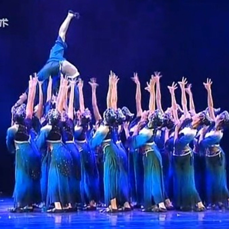 2026新款桃李杯喜鹊喳喳喳舞蹈演出服儿童喜鹊叫喳喳表演服装女童