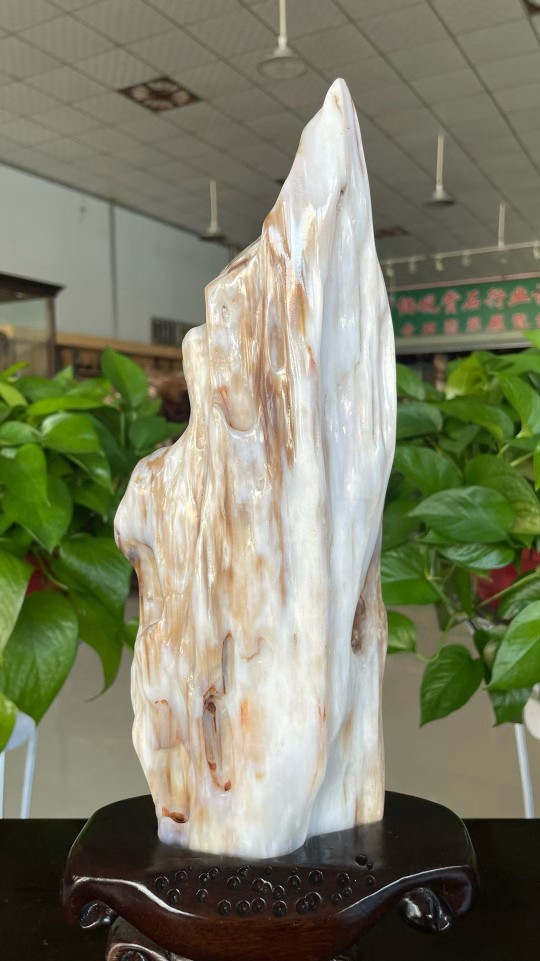 冰种木化石树化玉原石摆件