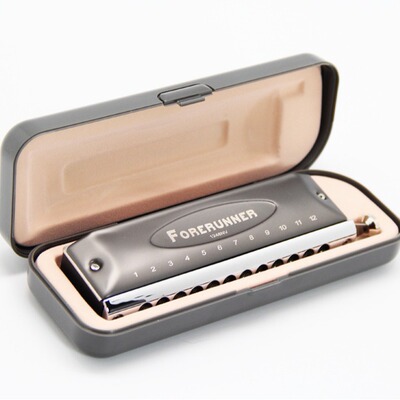 Easttop Harmonica12孔48音先行者半音阶C调口琴12 keys 48 tunes