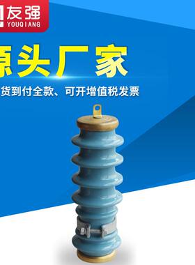 10KV高压广东型避雷器Y5WS-17/50FT蓝色陶瓷线路氧化锌户外防雷