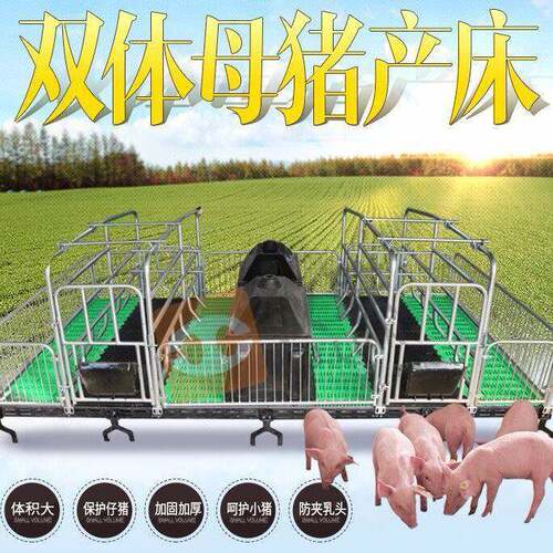 母猪产床复合板铸铁梁双体产床仔猪分娩床产保一体产床养殖设备