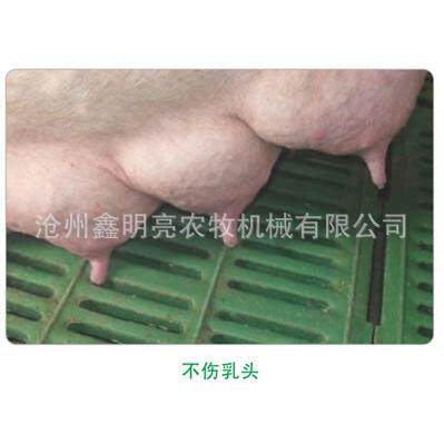 厂家供应强度复合材料母猪产床漏缝板复合材料母猪漏粪板
