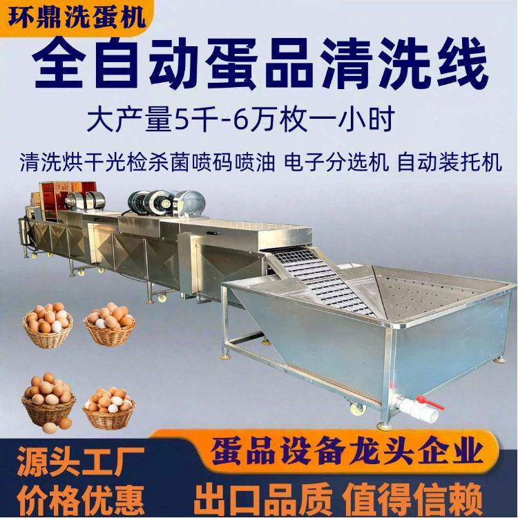 咸鸭蛋不锈钢鸡蛋清洗机风干光检分级喷油喷码洗蛋机设备厂家