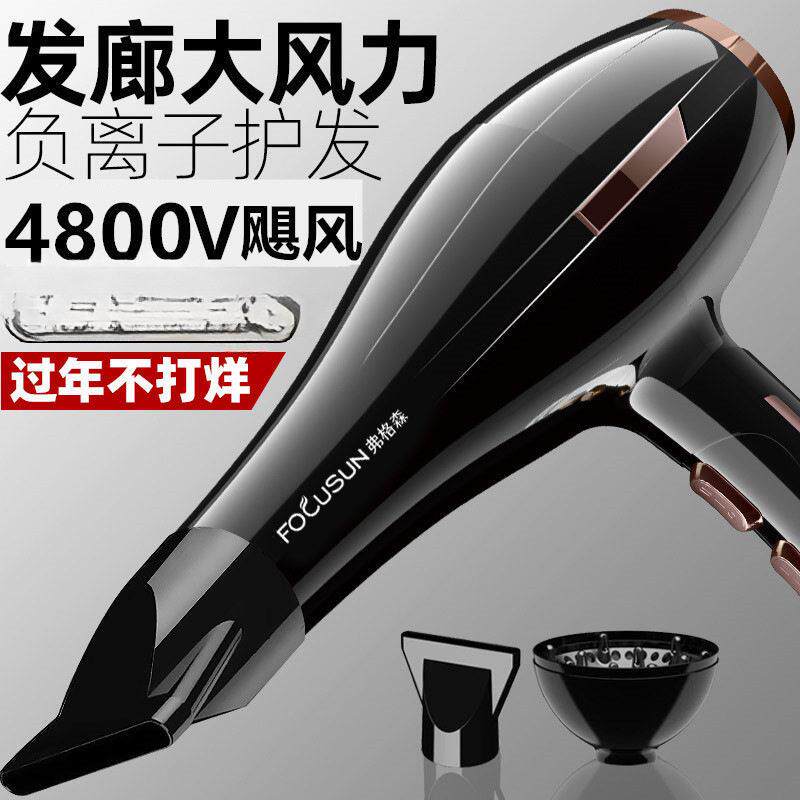 德国电吹风机发廊专用大功率理发店大风力家用负离子护发速干风筒