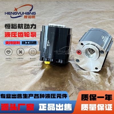 HENGYUHANG恒裕航2PDF高压齿轮泵非标替代罗茨RONZIO齿轮泵02ZBG